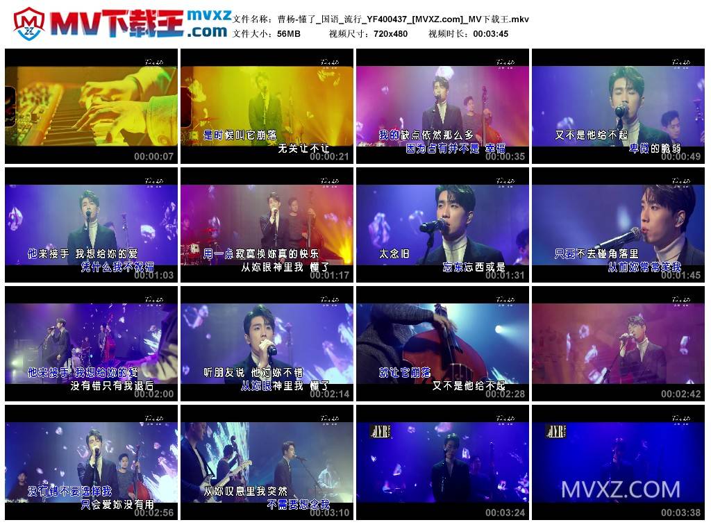 曹杨-懂了_国语_流行_YF400437